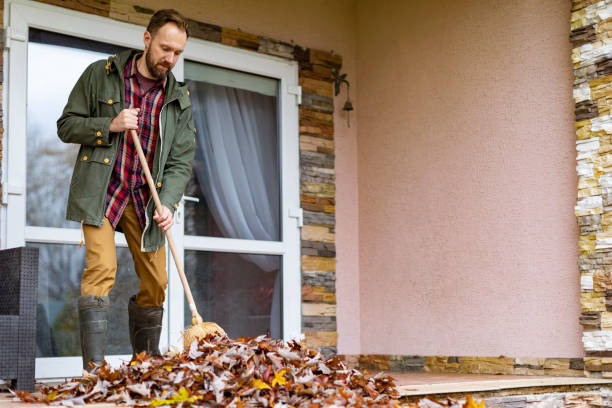 Best Basement Cleanout Services  in Johnsonville, SC